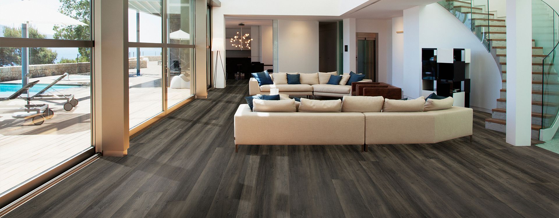 Discover Our Collections