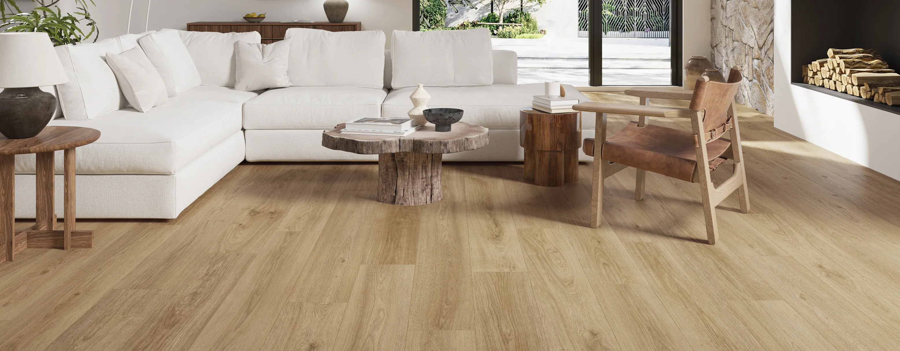 Discover Our Collections